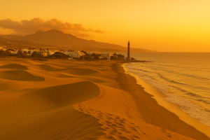 Psychoeducational Assessments for International Schools in Gran Canaria