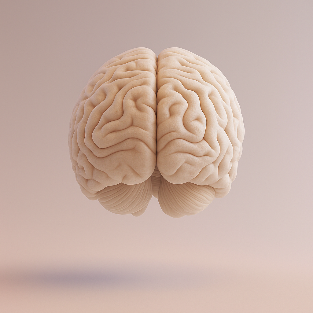 Dyslexia testing in Liechtenstein